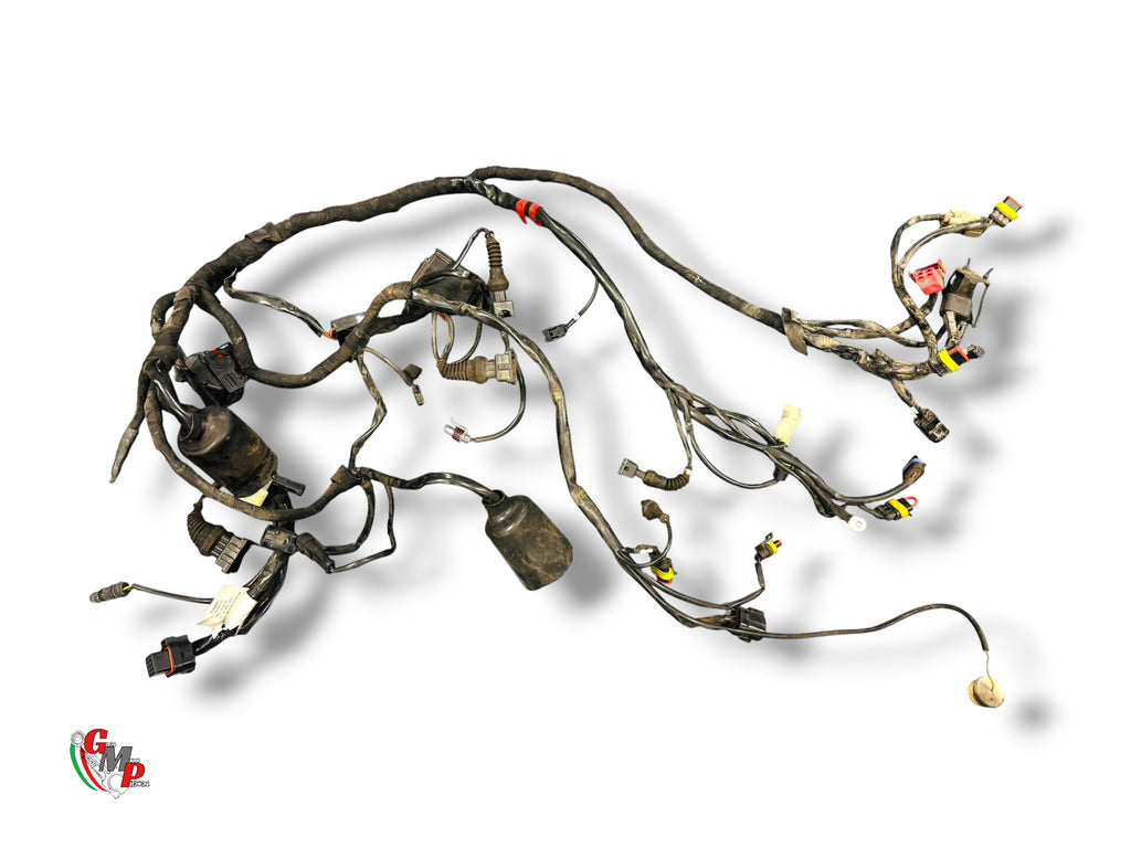 Faisceau Electrique - Ducati