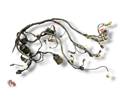 Mazo de Cables - Ducati