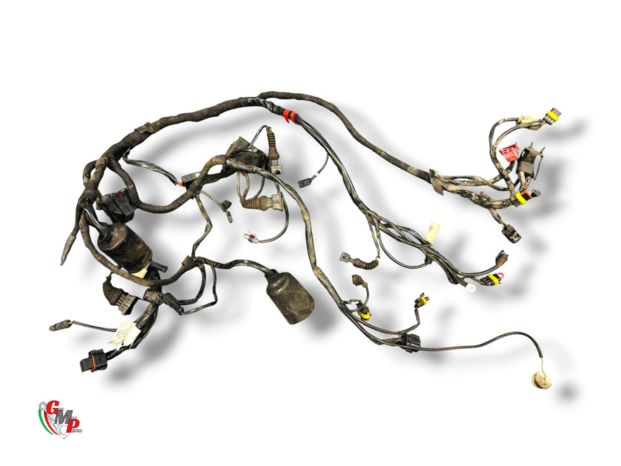 Mazo de Cables - Ducati