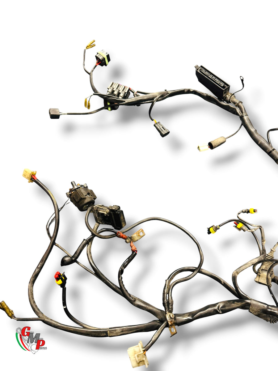Cableado principal - Ducati