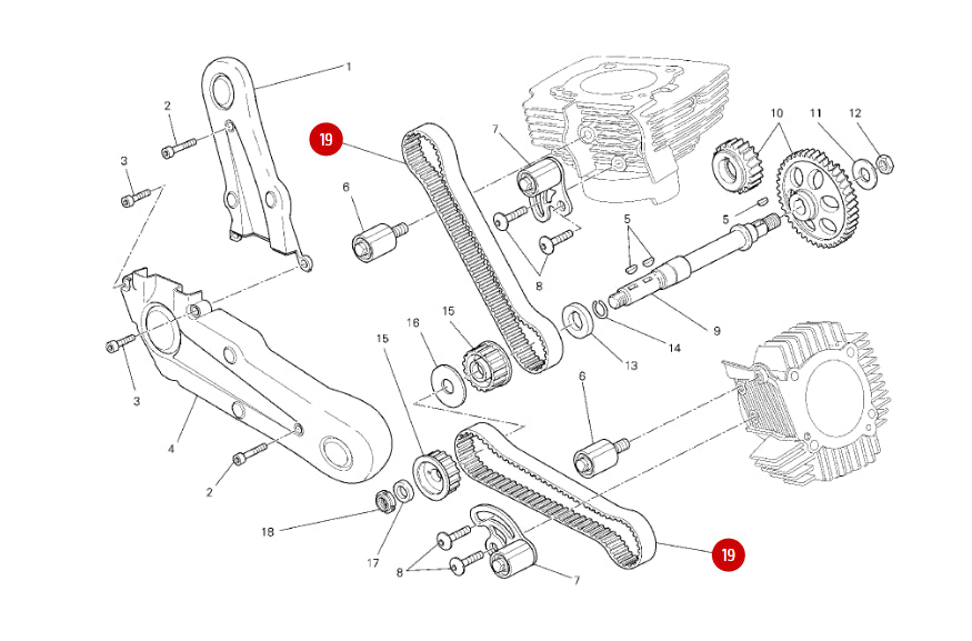 Par de correas de distribución nuevas - Ducati