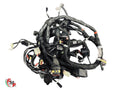 Arnés de cableado principal - Ducati