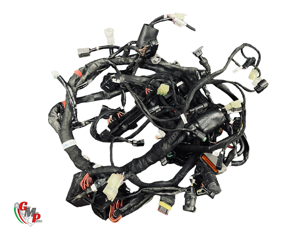 Arnés de cableado principal - Ducati
