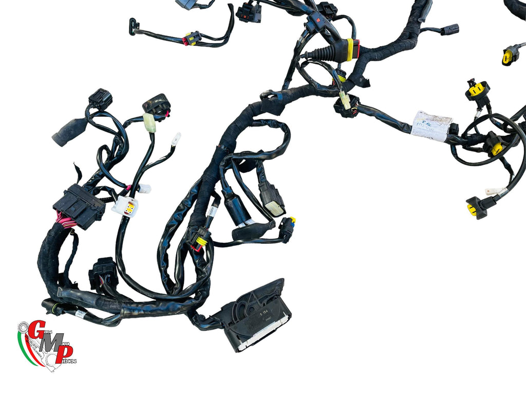 Arnés de cableado completo - Ducati