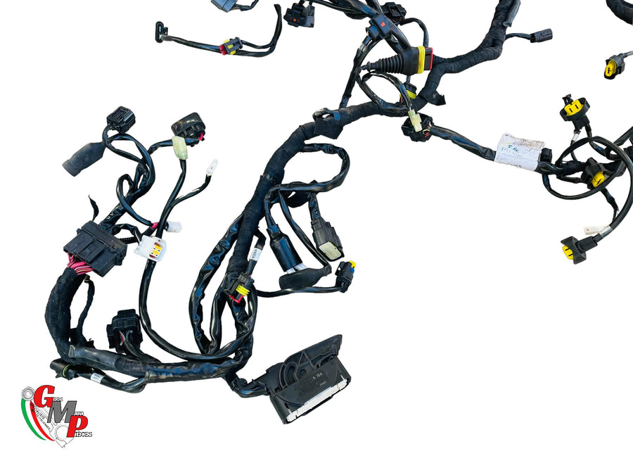 Arnés de cableado completo - Ducati