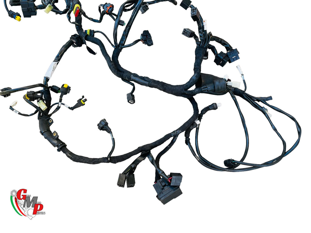 Arnés de cableado completo - Ducati