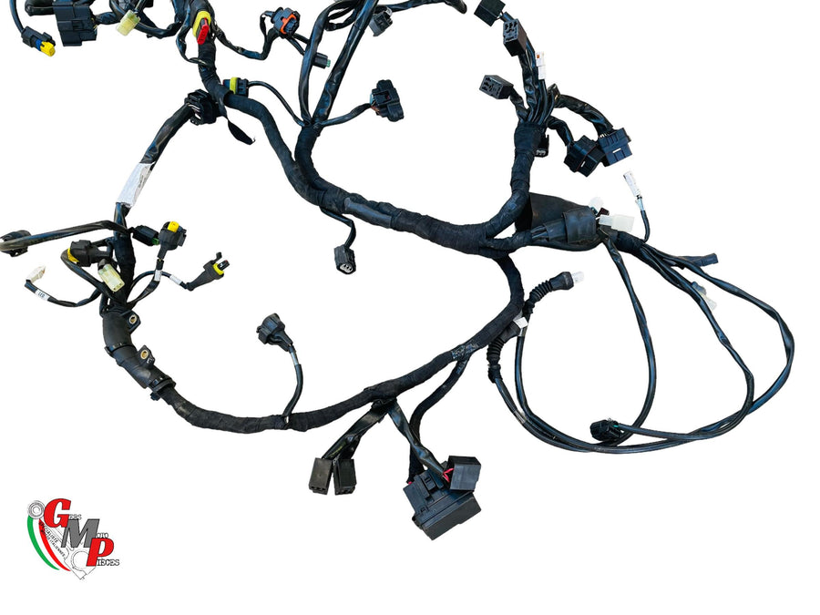 Arnés de cableado completo - Ducati