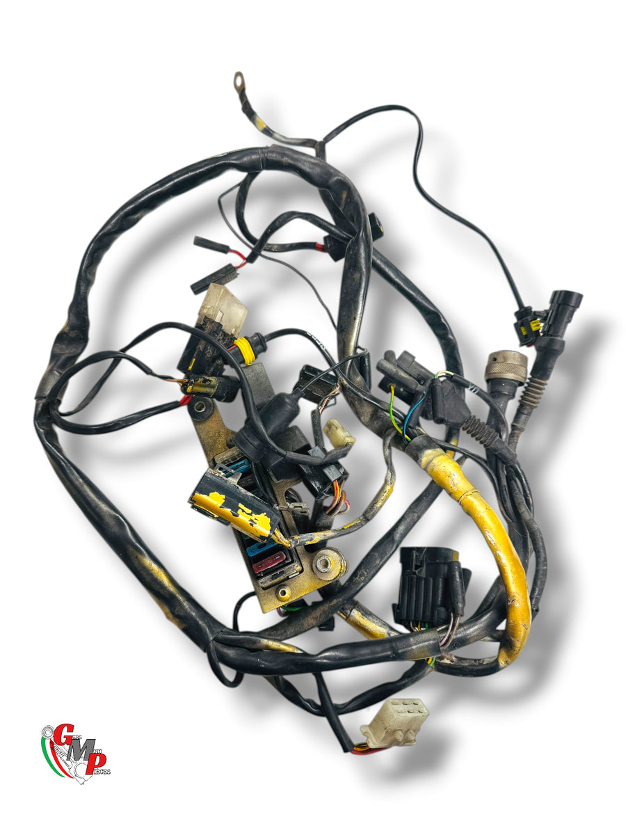 Arnés eléctrico - Ducati