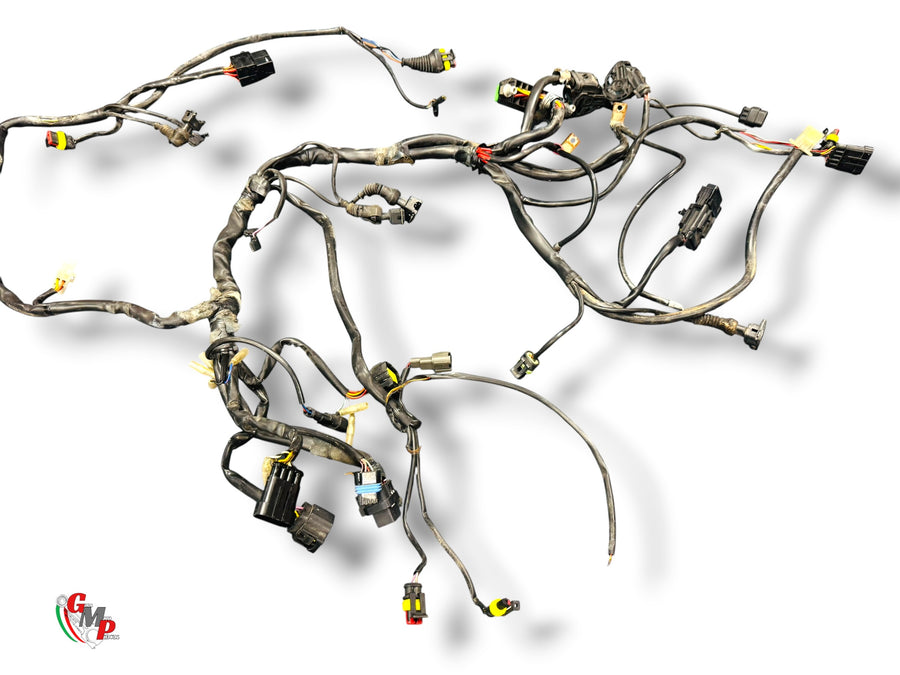 Cableado eléctrico - Ducati