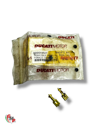 NUEVO Conector Hembra - Ducati