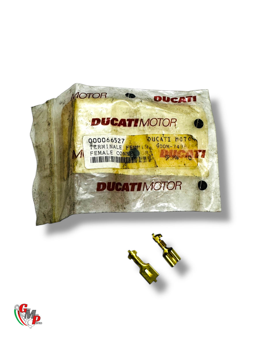 NUEVO Conector Hembra - Ducati