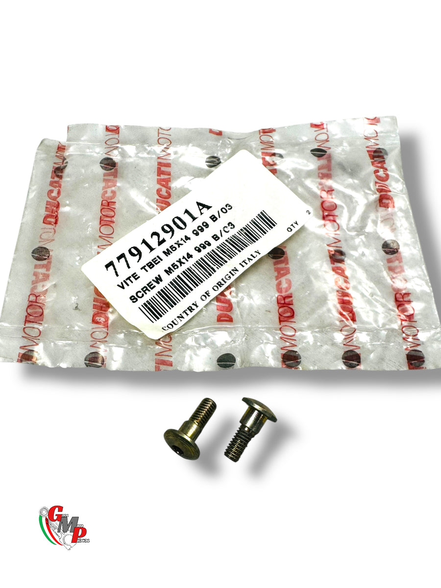 Tornillo TBEI M5X14 NUEVO - Ducati
