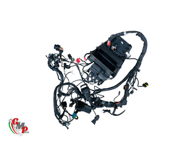 Arnés de cableado principal completo - Ducati