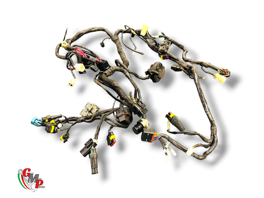 Mazo de Cables Principal Completo - Ducati