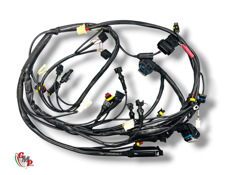 Mazo de cables NUEVO - Ducati