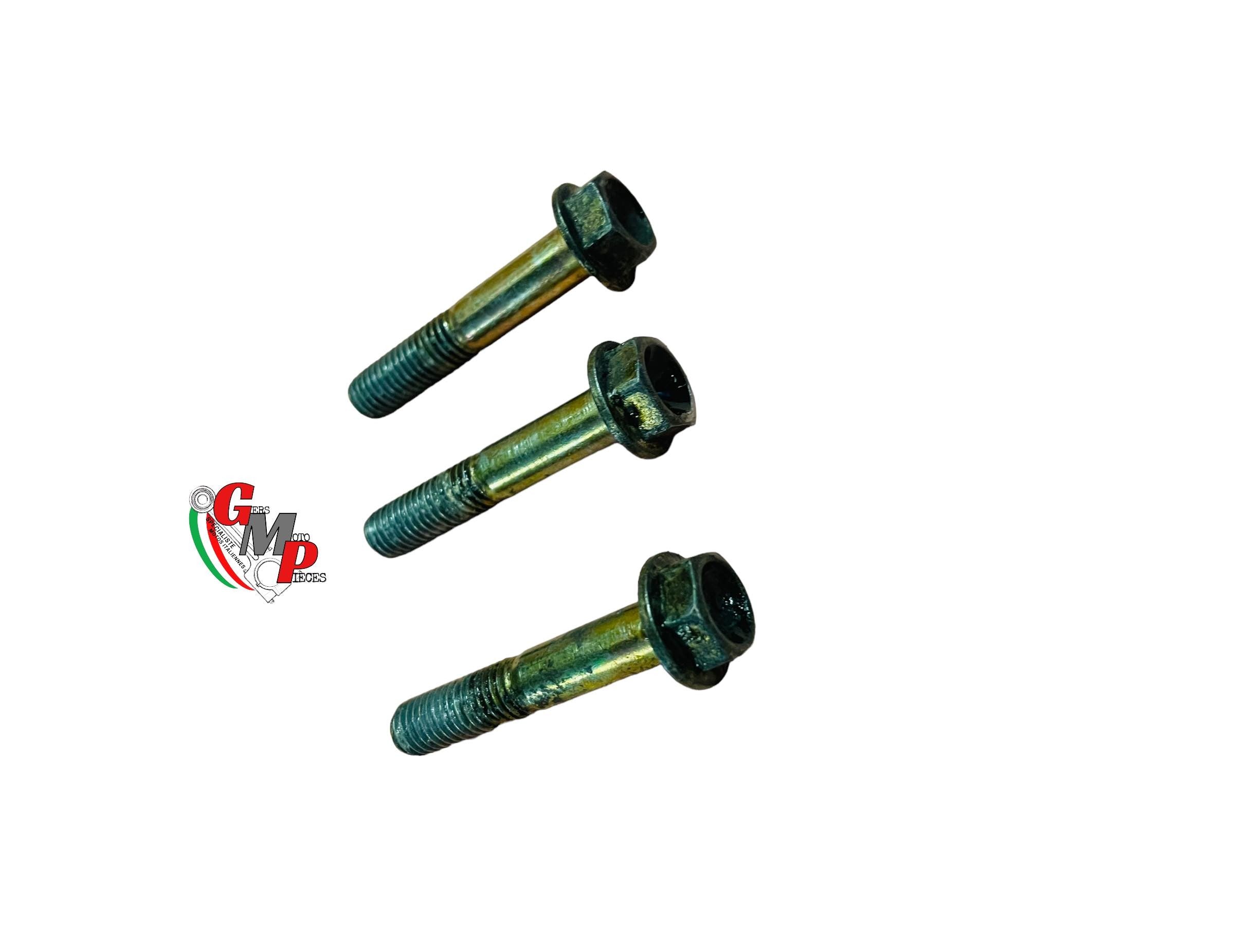 Tornillos de la barra de la horquilla - Ducati