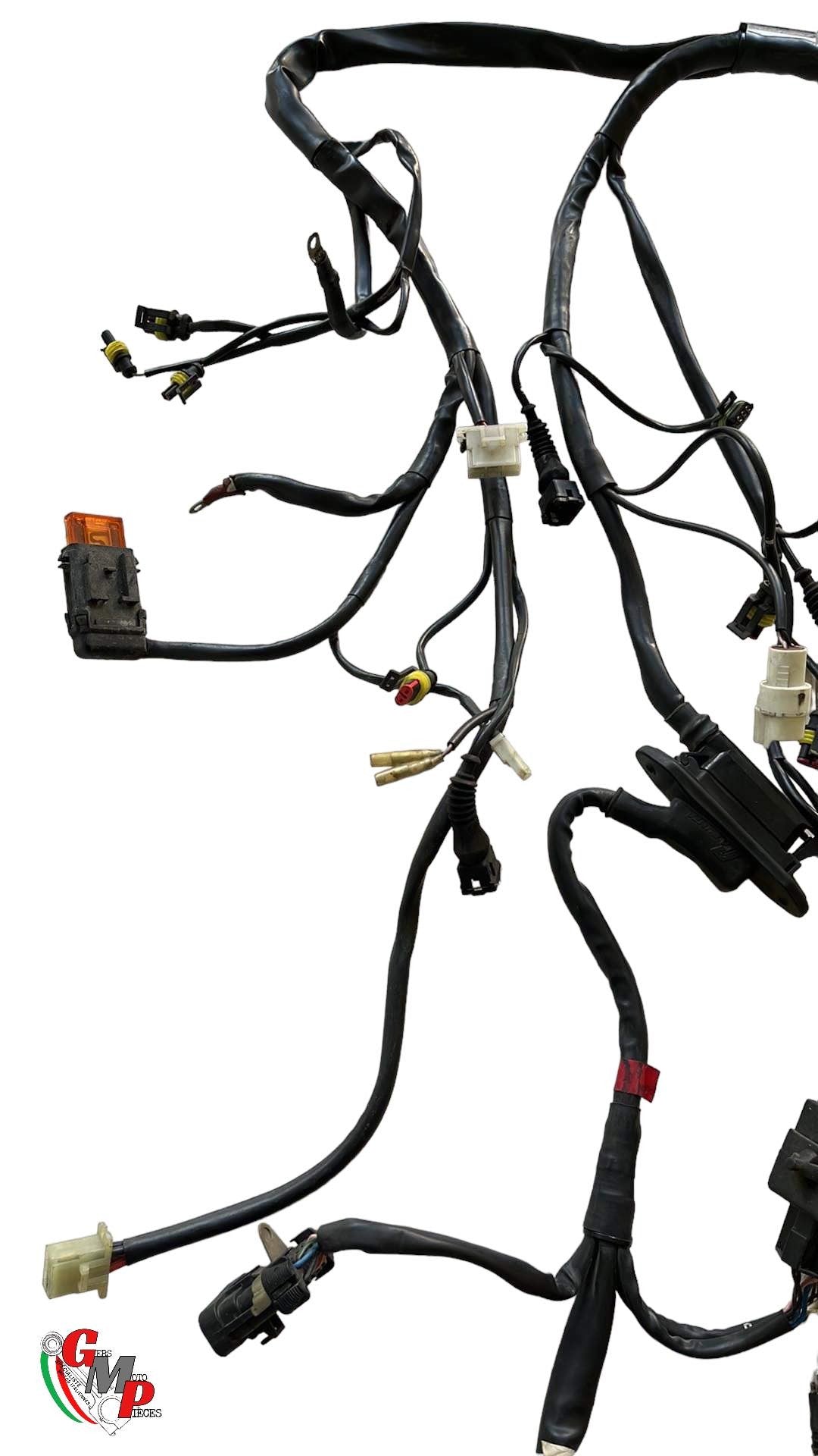 Arnés de cableado principal - Ducati