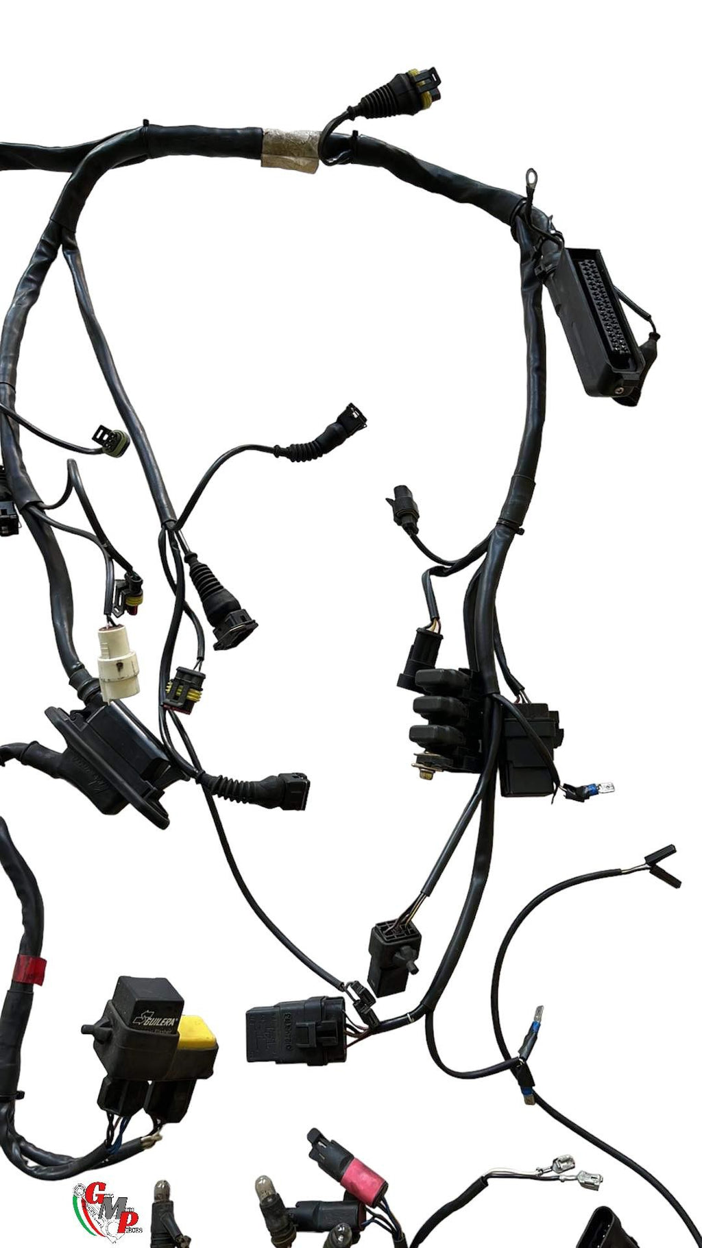 Arnés de cableado principal - Ducati
