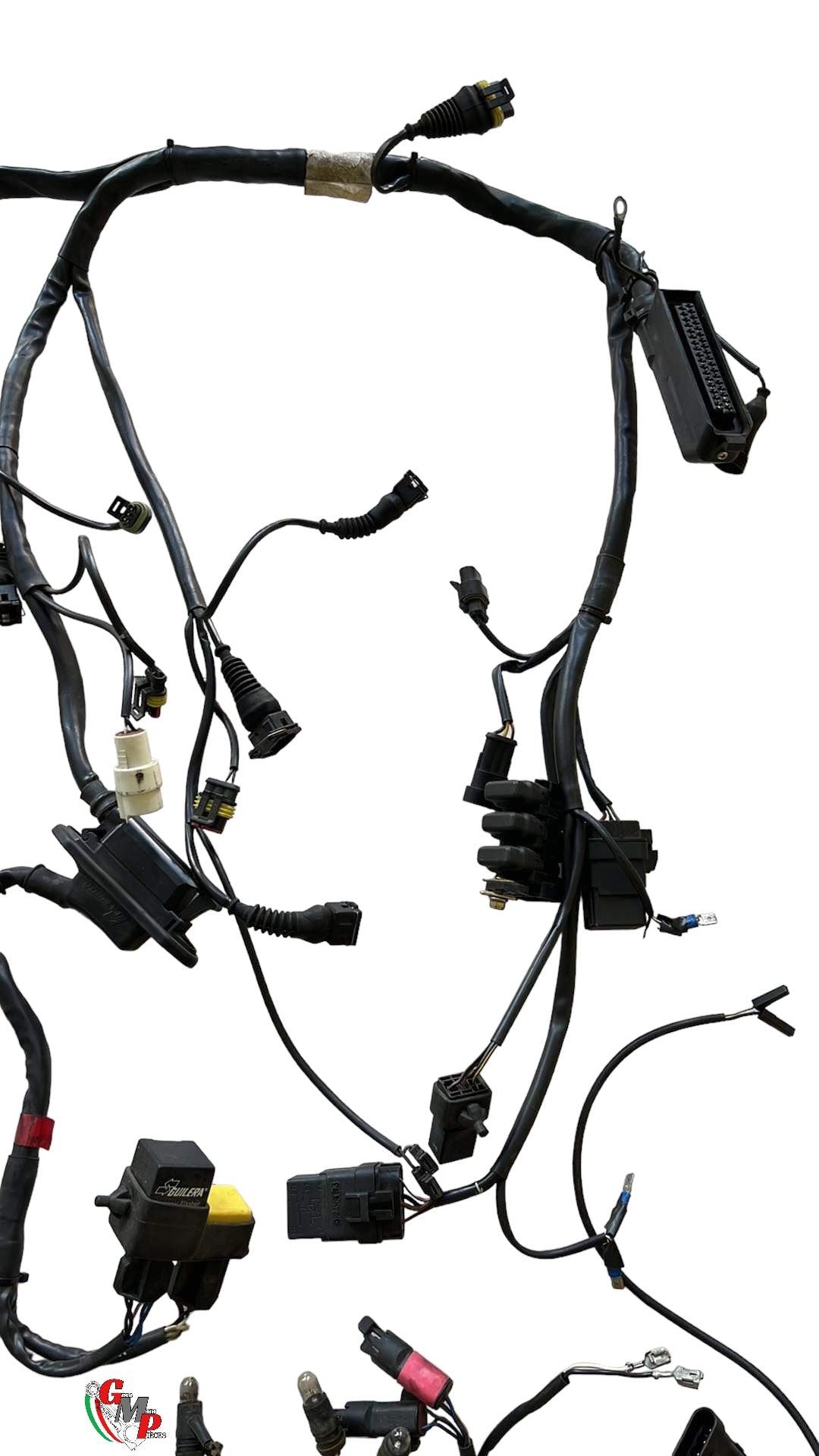 Arnés de cableado principal - Ducati