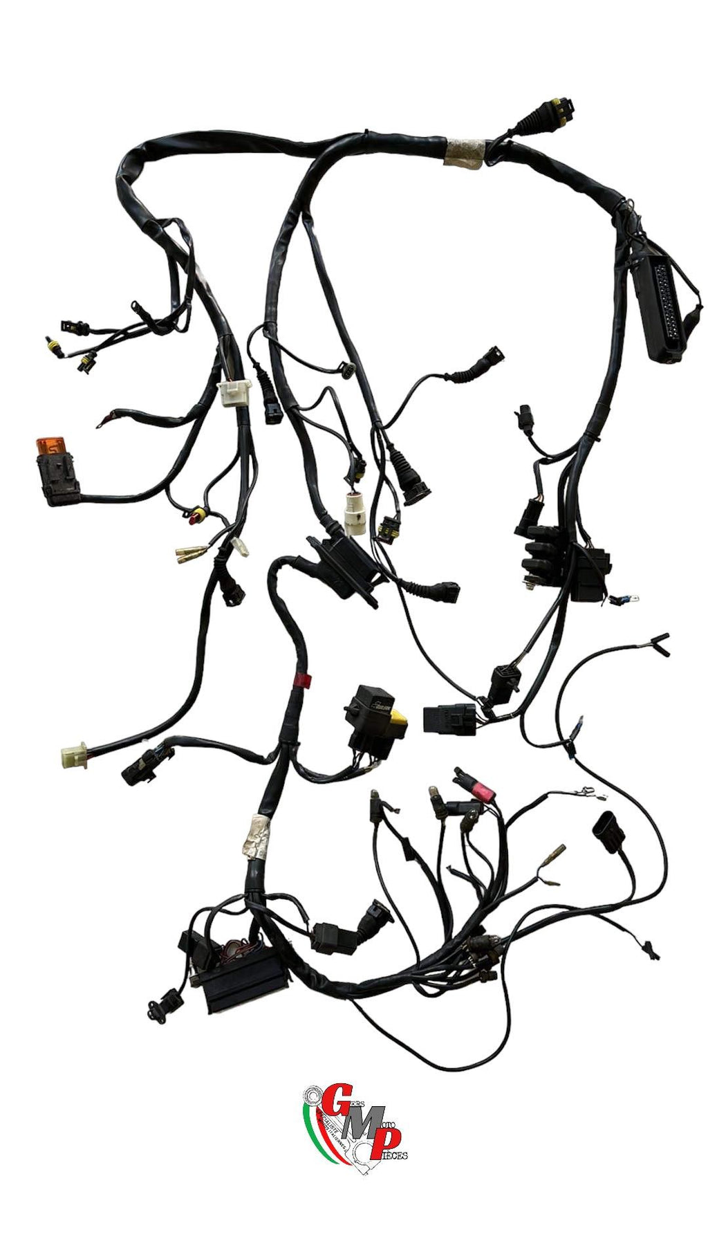 Arnés de cableado principal - Ducati