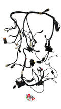 Arnés de cableado principal - Ducati
