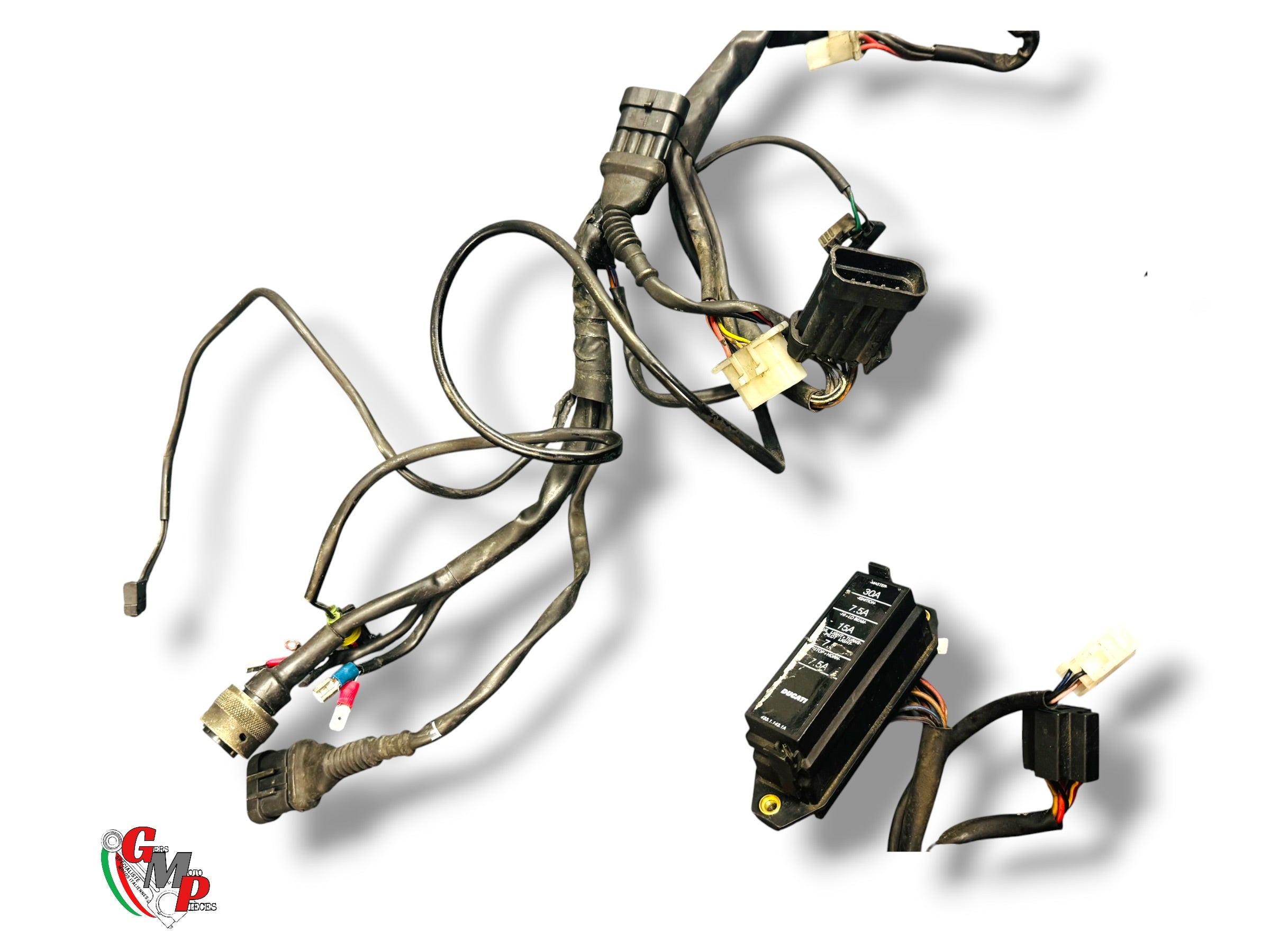 Arnés de cableado - Ducati