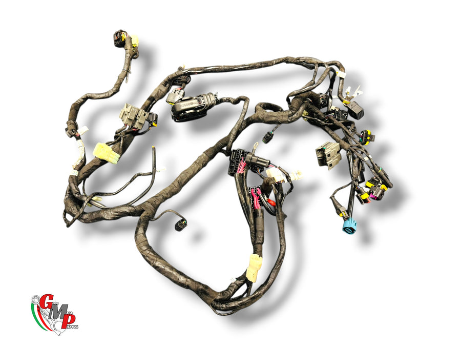 Mazo de Cables Principal Completo - Ducati