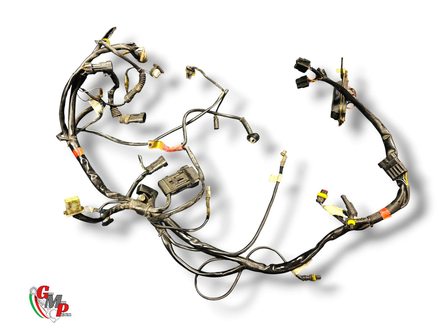 Arnés eléctrico - Ducati
