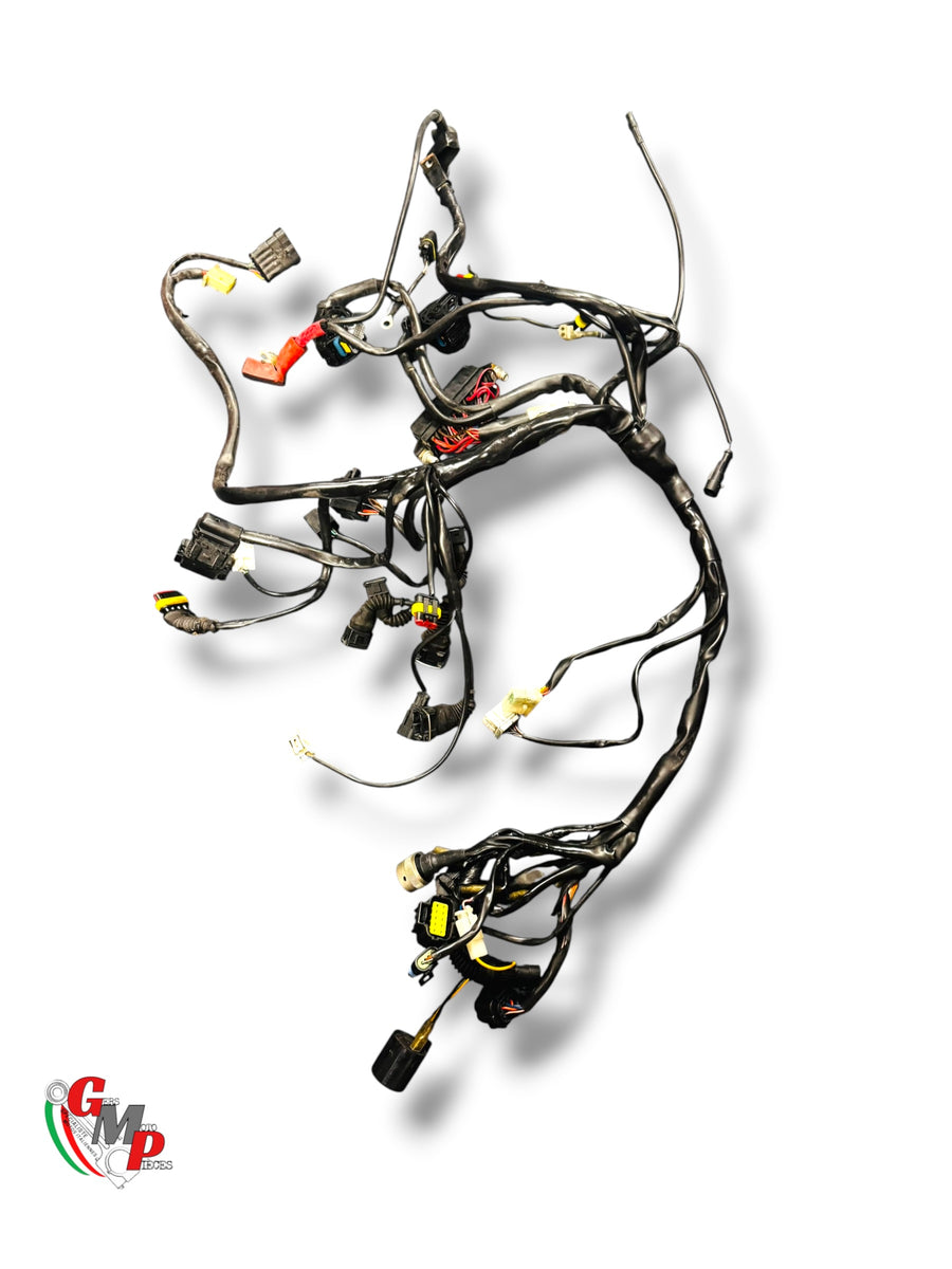 Mazo de cables - Ducati
