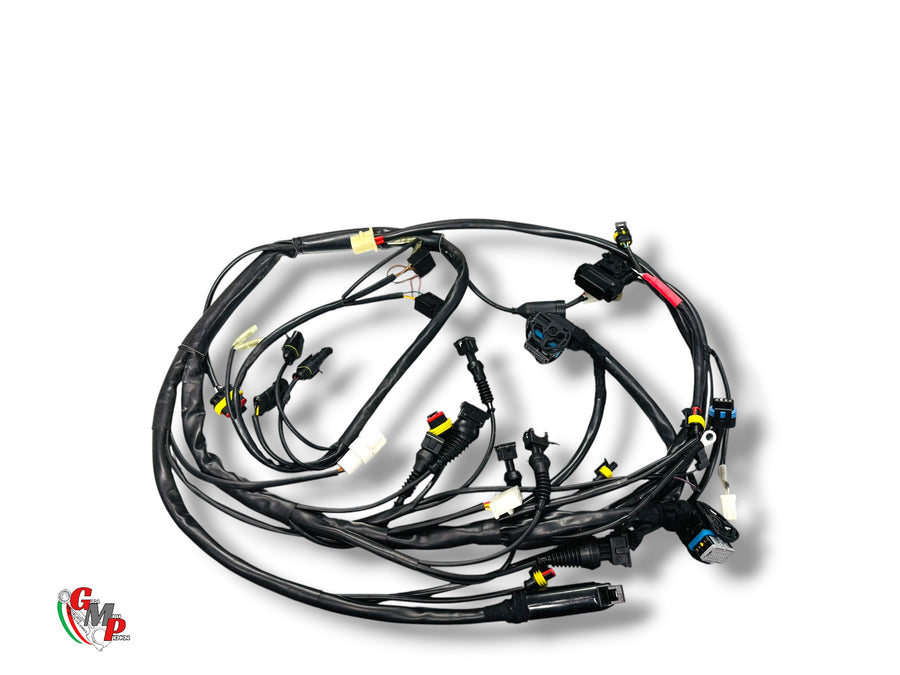 Mazo de cables NUEVO - Ducati
