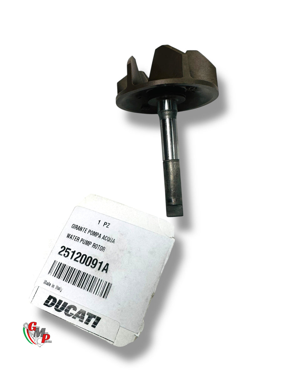 Piñón Bomba de Agua NUEVO - Ducati