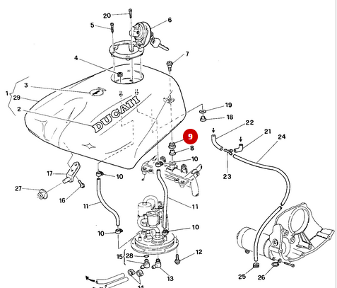 Goma de Tanque NUEVA - Ducati