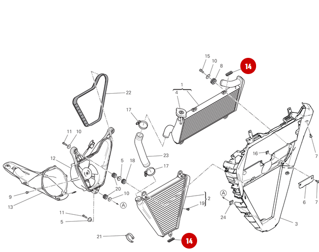 Caucho NUEVO - Ducati