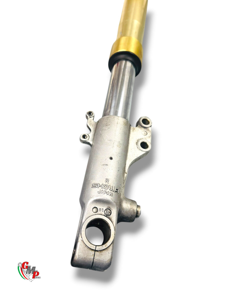 Horquilla completa derecha - Ducati