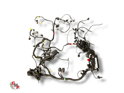 Faisceau Electrique - Ducati