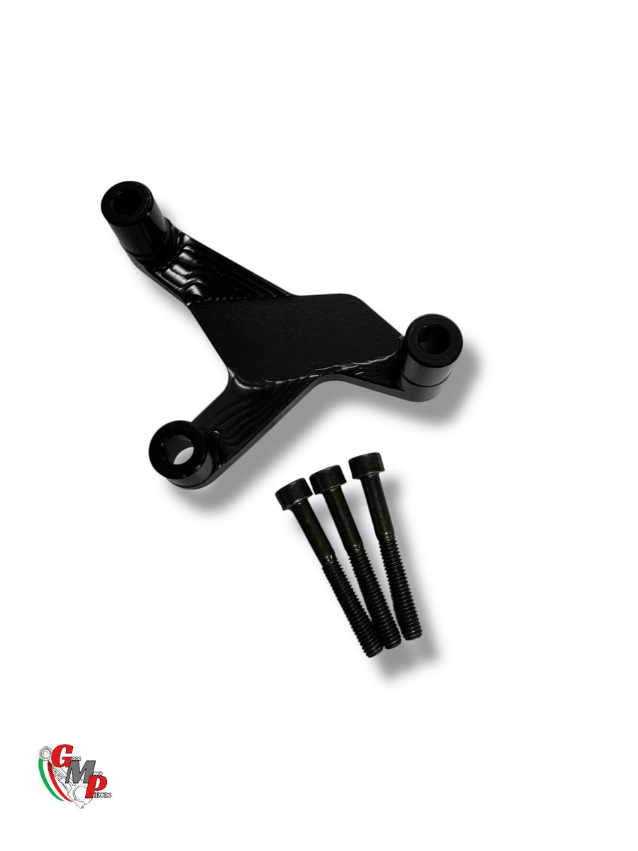 Protector Bomba de Agua DucaBike Inserto Carbono NUEVO - Ducati