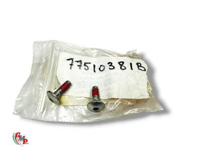 Tornillo Tbei M6X19 NUEVO - Ducati