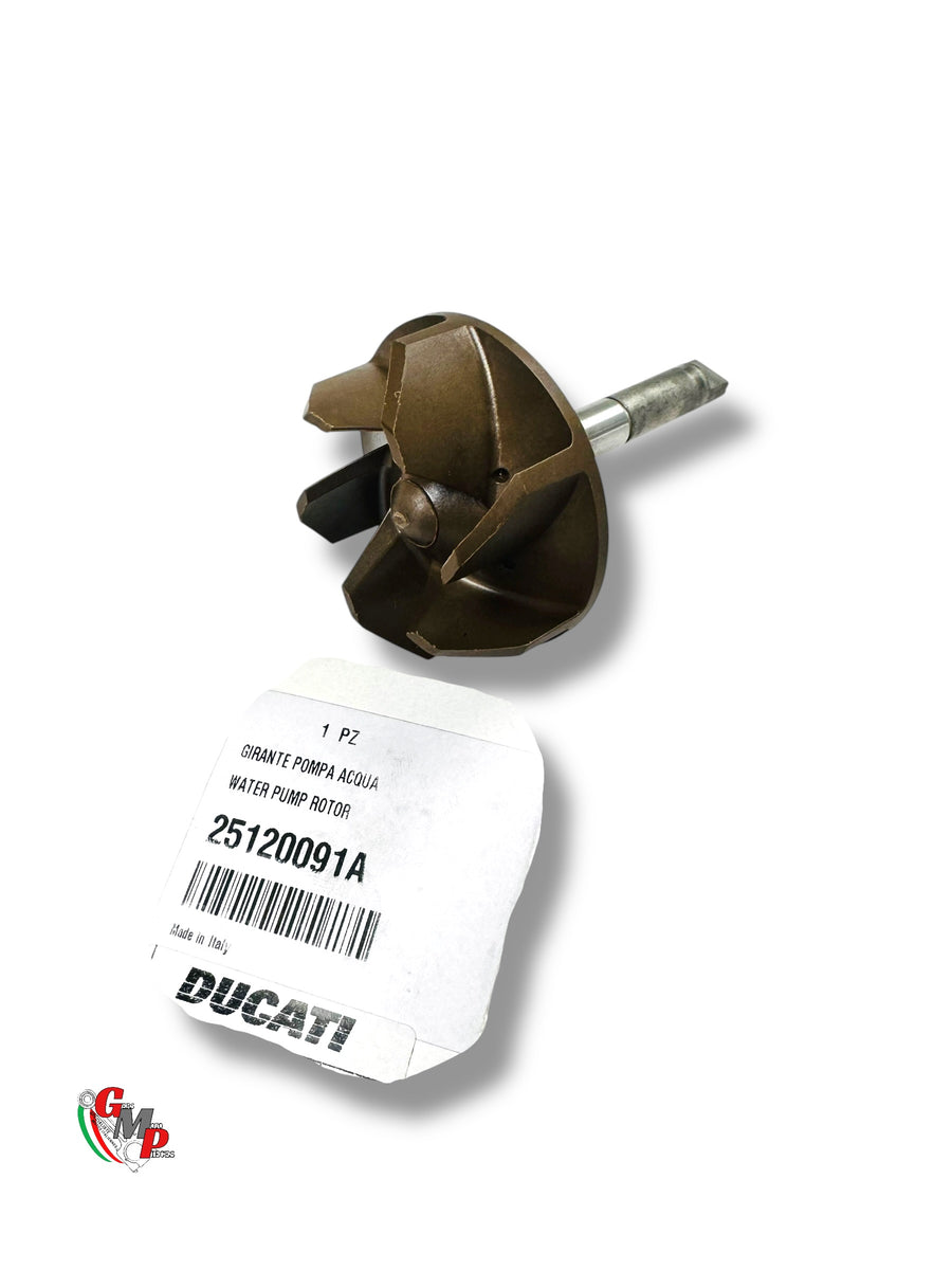 Piñón Bomba de Agua NUEVO - Ducati