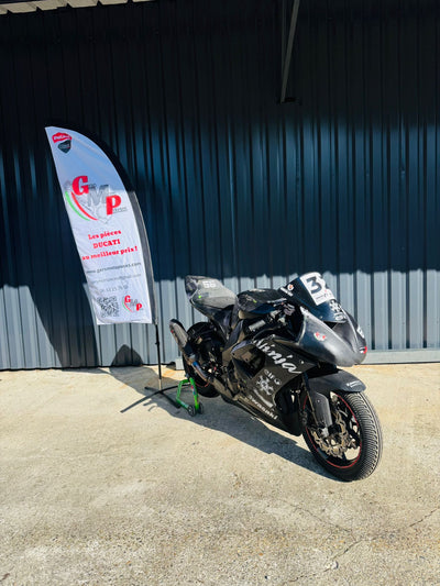 Kawasaki ZX10R 2009 PISTA