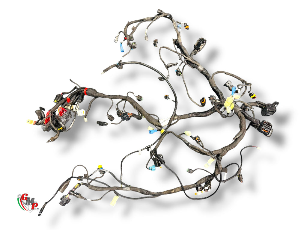 Cableado eléctrico completo - Ducati