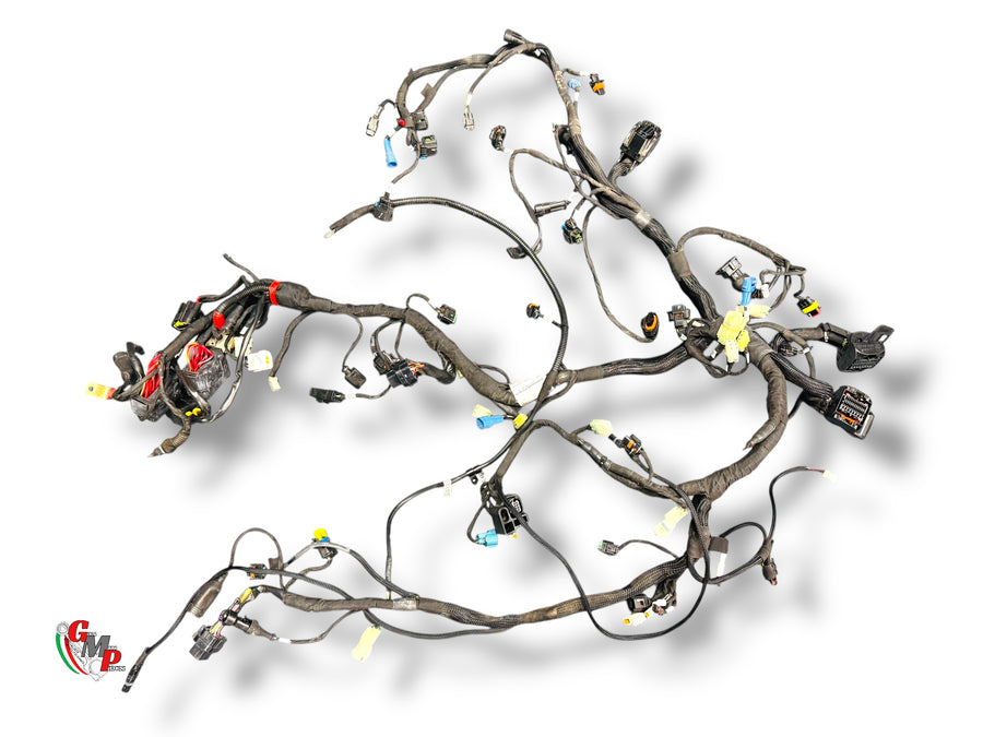 Cableado eléctrico completo - Ducati