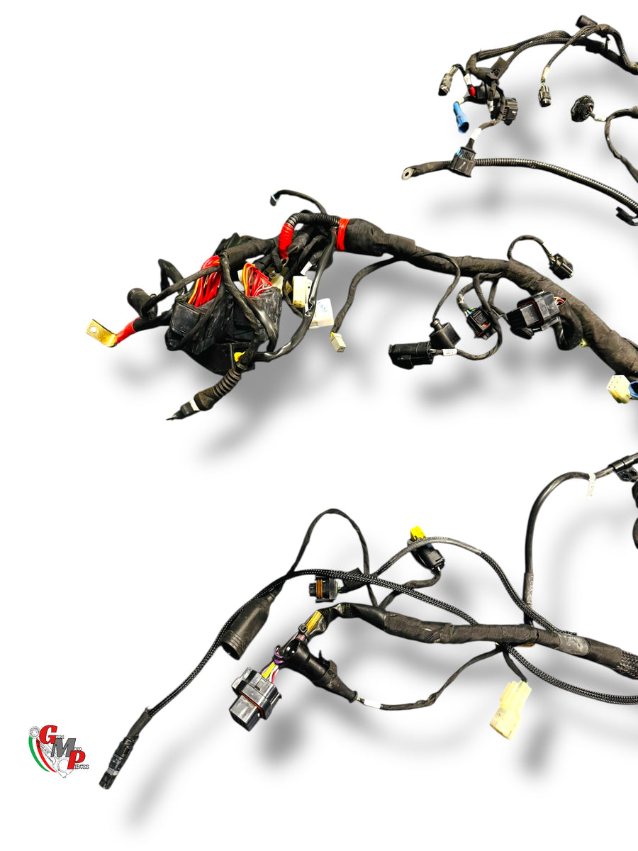 Cableado eléctrico completo - Ducati