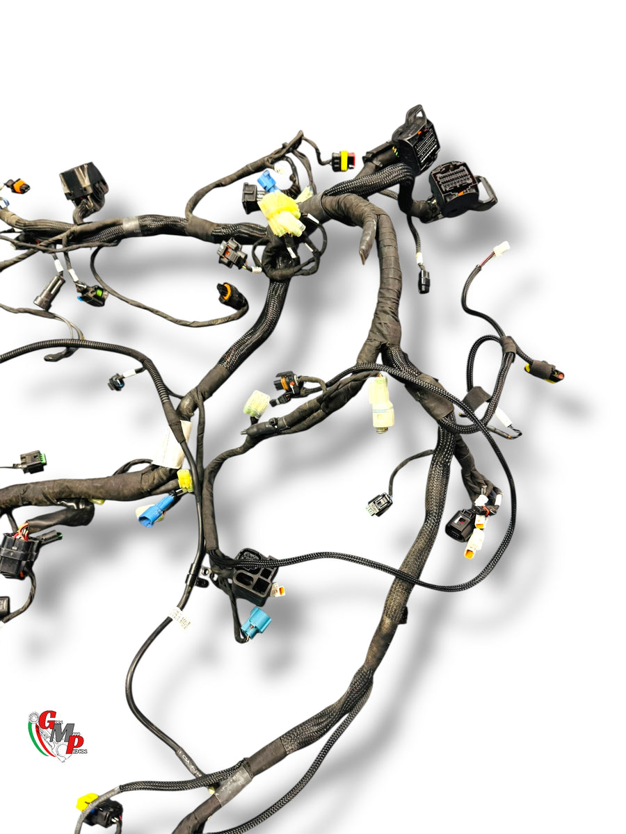 Cableado eléctrico completo - Ducati