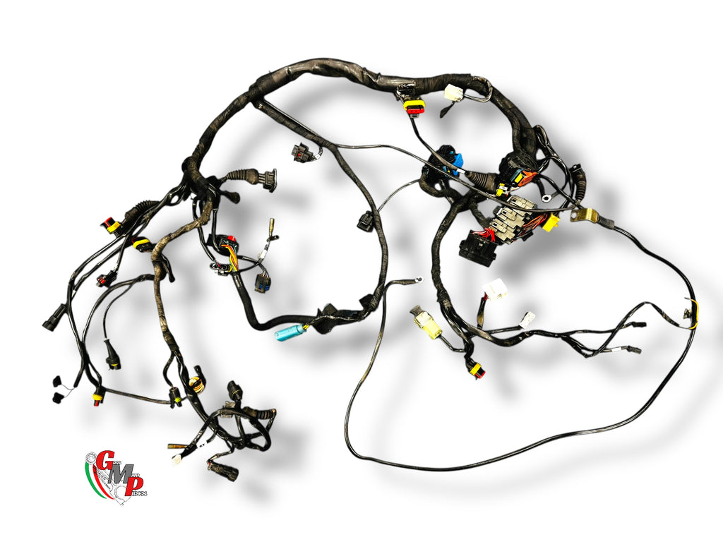 Faisceau Electrique - Ducati