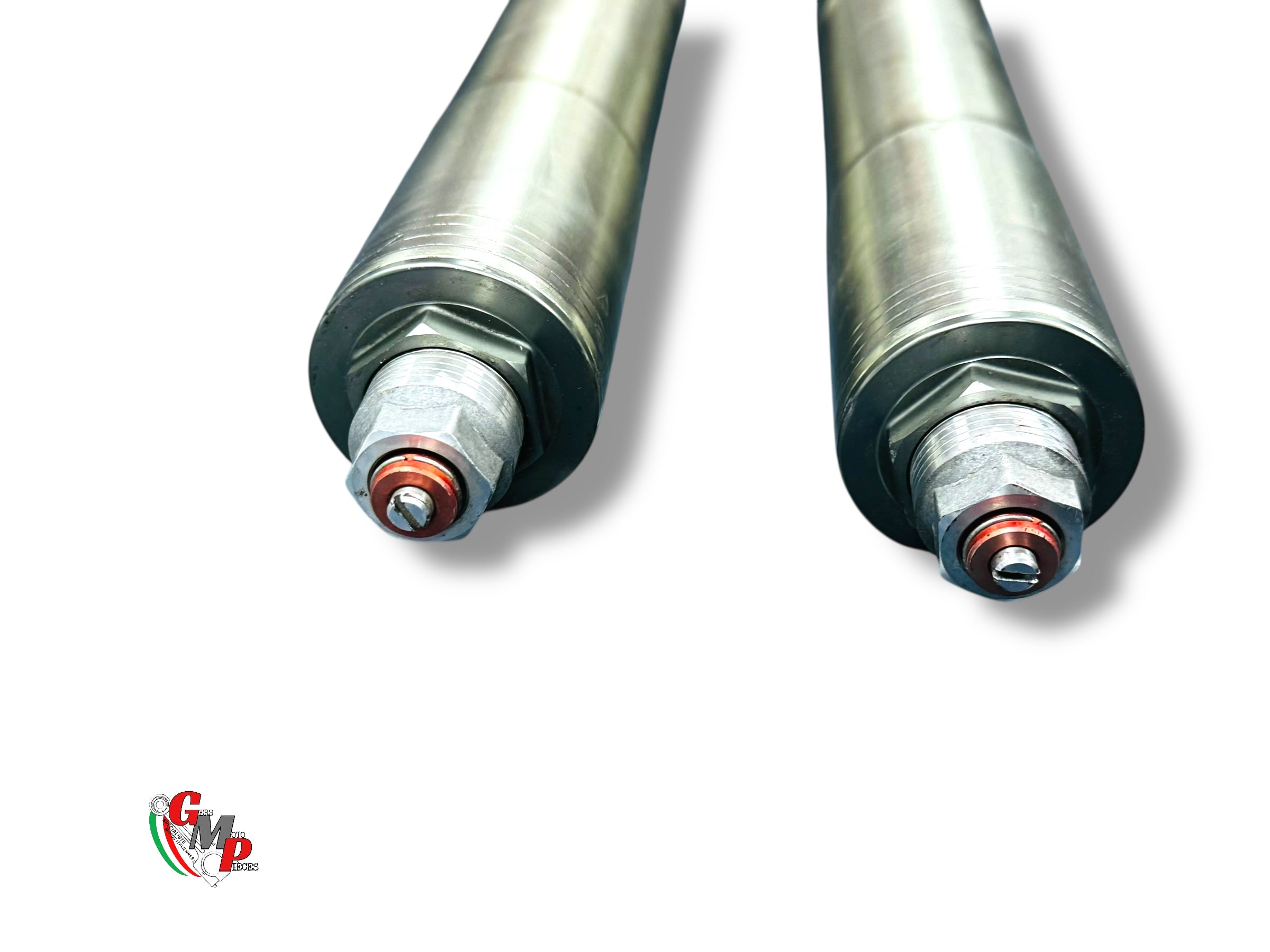 Fourche Complete - Ducati