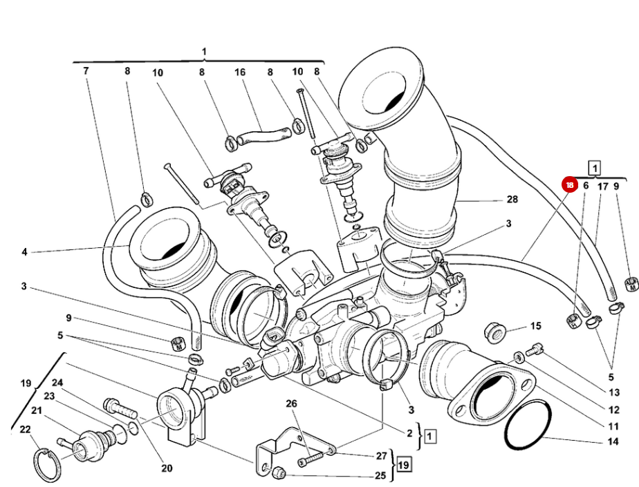 Manguera de gasolina NUEVA - Ducati