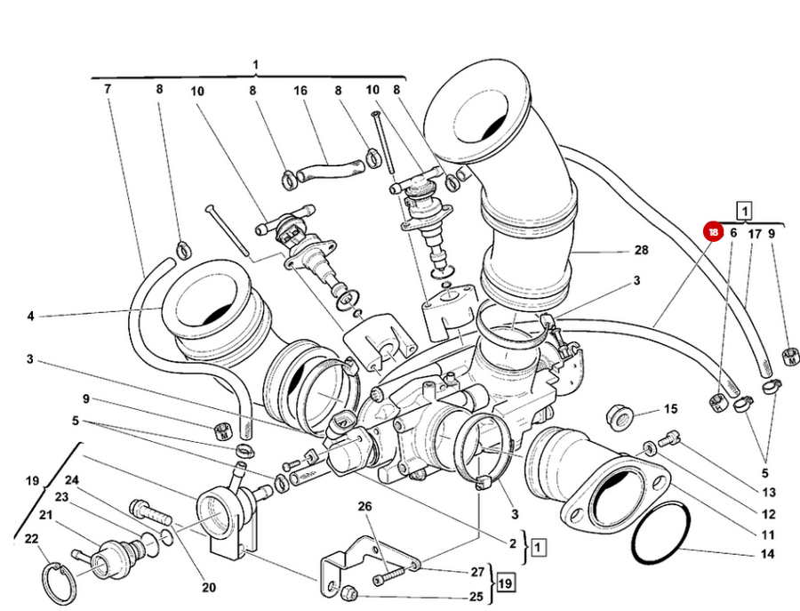 Manguera de gasolina NUEVA - Ducati