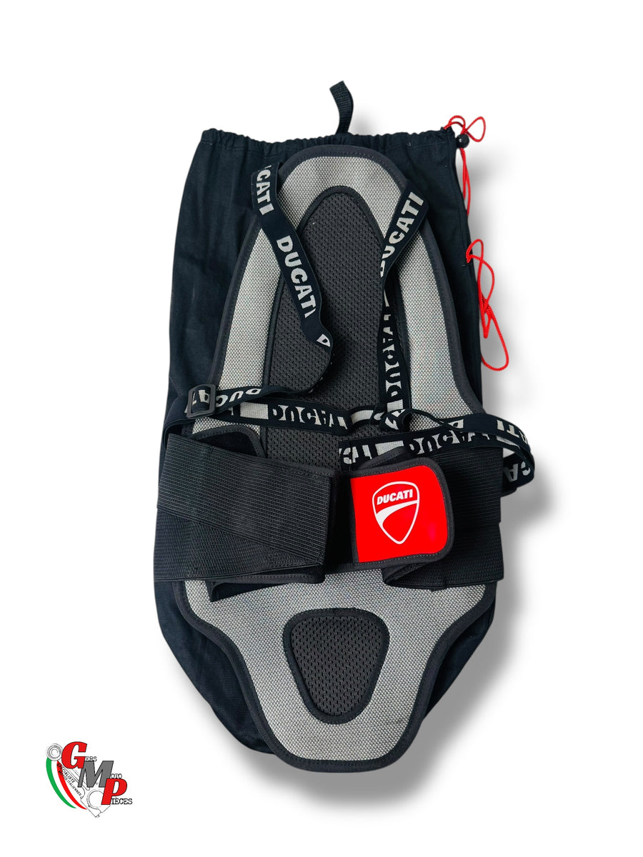 Espaldera Dainese Nueva