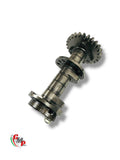 Arbre à came échappement vertical - Ducati