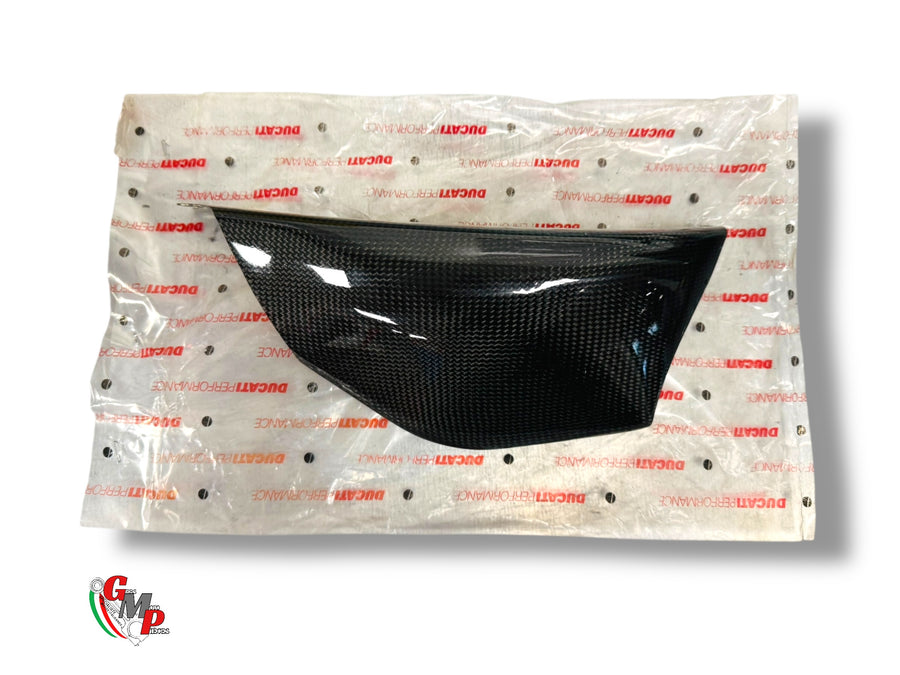 Protección de carbono monobrazo NUEVA - Ducati